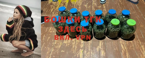 хмурый Бронницы