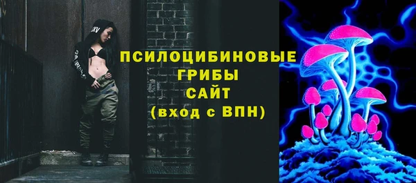 эйфоретик Богородск